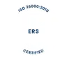 iso icon