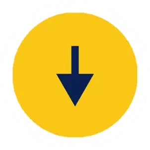 Social Trading